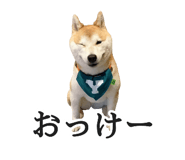 774243738