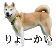 774243739