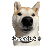 774243740