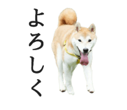 774243741
