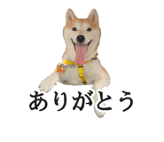 774243743