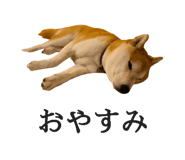 774243744