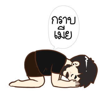 ลายที่ 31