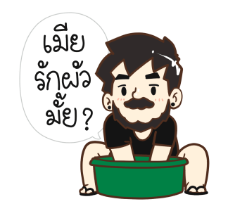 ลายที่ 41