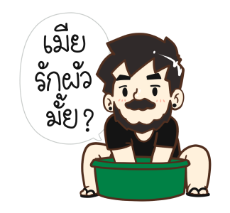 สามีแห่งชาติ รูปที่ 21