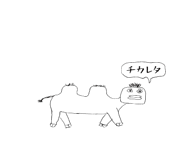 774613716