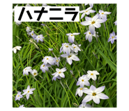 774673347