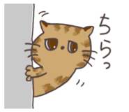 774740637