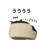 774904534
