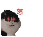 774904535