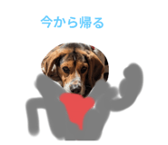 774904540