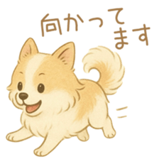 775050377