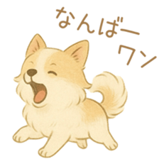 775050379