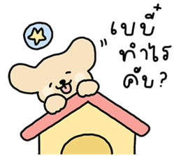 ลายที่ 13