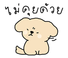 ลายที่ 17