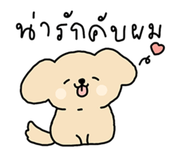 ลายที่ 21