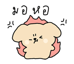 ลายที่ 23