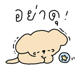 ลายที่ 25