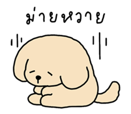 ลายที่ 29