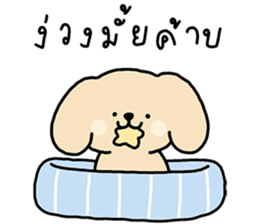 ลายที่ 31