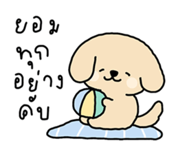 ลายที่ 37