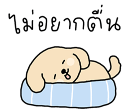 ลายที่ 39