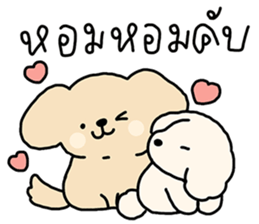 ลายที่ 43