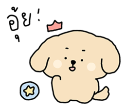 ลายที่ 51