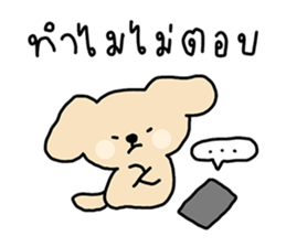 ลายที่ 53