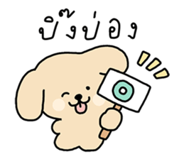 ลายที่ 65