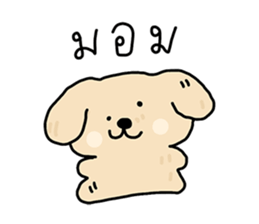 ลายที่ 77