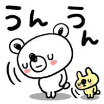 77520379