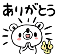 77520390