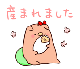 7752425