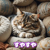 775364248