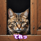 775364259