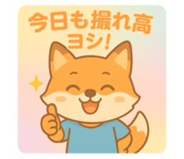 775445525