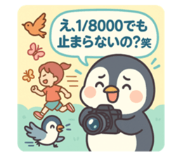 775445526