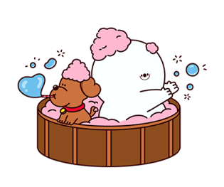 ลายที่ 55