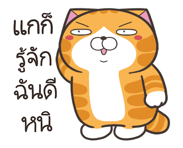 ลายที่ 11