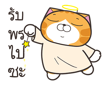 ลายที่ 13