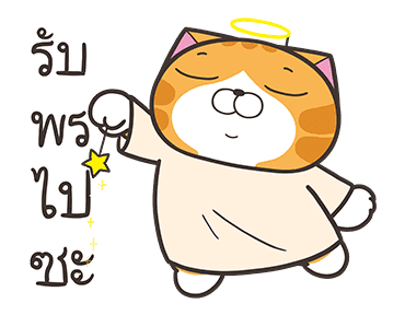 เหมียวซ่า: จอมไฮเปอร์ รูปที่ 7