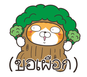 ลายที่ 15