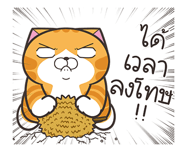 ลายที่ 19