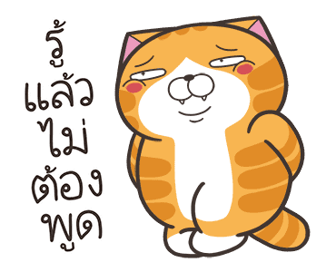 ลายที่ 23