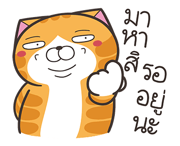 ลายที่ 25