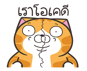 ลายที่ 27