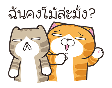 เหมียวซ่า: จอมไฮเปอร์ รูปที่ 15