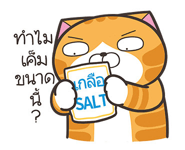 เหมียวซ่า: จอมไฮเปอร์ รูปที่ 16