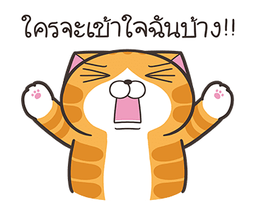 ลายที่ 41